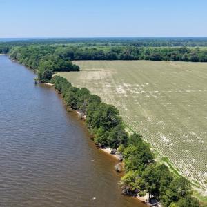 Photo #6 of 500 Indian Trail Road, Edenton, NC 964.4 acres