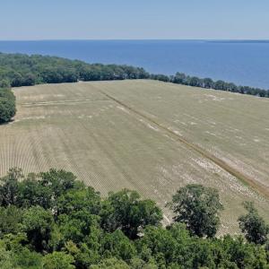 Photo #8 of 500 Indian Trail Road, Edenton, NC 964.4 acres