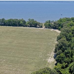 Photo #9 of 500 Indian Trail Road, Edenton, NC 964.4 acres