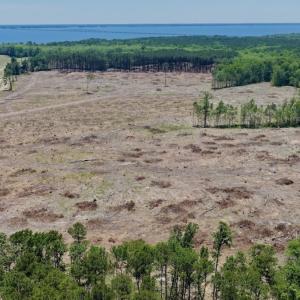 Photo #42 of 500 Indian Trail Road, Edenton, NC 964.4 acres