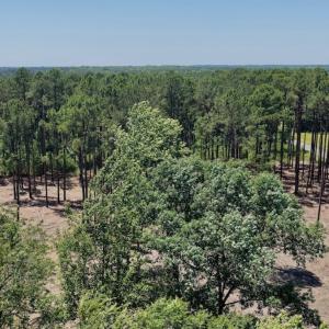 Photo #46 of 500 Indian Trail Road, Edenton, NC 964.4 acres