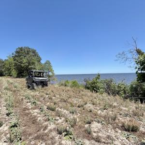 Photo #55 of 500 Indian Trail Road, Edenton, NC 964.4 acres