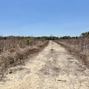 Photo #57 of 500 Indian Trail Road, Edenton, NC 964.4 acres
