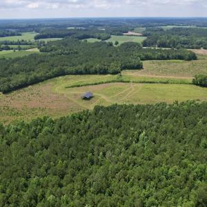 Photo #10 of Off of Powell Road, Green Sea, SC 69.0 acres