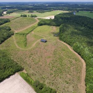 Photo #13 of Off of Powell Road, Green Sea, SC 69.0 acres