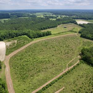 Photo #2 of Off of Powell Road, Green Sea, SC 69.0 acres