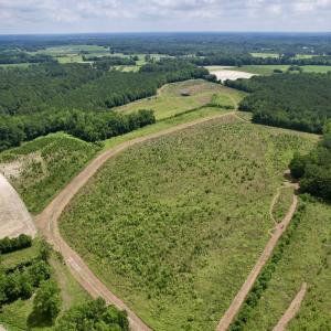 Photo #3 of Off of Powell Road, Green Sea, SC 69.0 acres