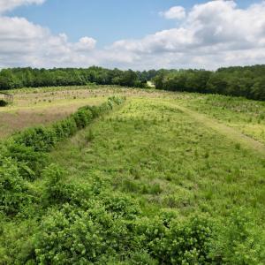 Photo #31 of Off of Powell Road, Green Sea, SC 69.0 acres