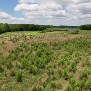 Photo #33 of Off of Powell Road, Green Sea, SC 69.0 acres