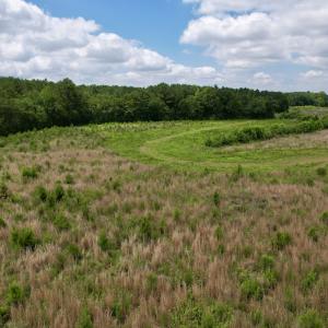 Photo #34 of Off of Powell Road, Green Sea, SC 69.0 acres