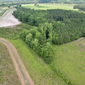 Photo #39 of Off of Powell Road, Green Sea, SC 69.0 acres