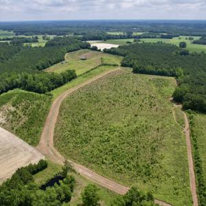Photo #4 of Off of Powell Road, Green Sea, SC 69.0 acres