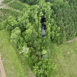 Photo #40 of Off of Powell Road, Green Sea, SC 69.0 acres