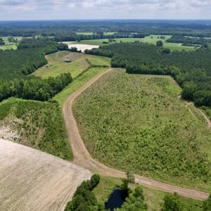Photo #5 of Off of Powell Road, Green Sea, SC 69.0 acres