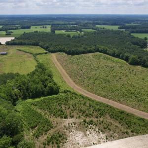 Photo #7 of Off of Powell Road, Green Sea, SC 69.0 acres