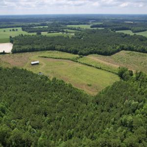 Photo #9 of Off of Powell Road, Green Sea, SC 69.0 acres