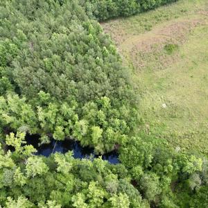 Photo #41 of Off of Powell Road, Green Sea, SC 69.0 acres