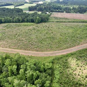 Photo #43 of Off of Powell Road, Green Sea, SC 69.0 acres