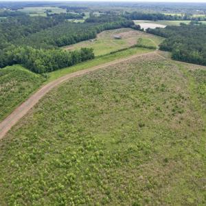 Photo #46 of Off of Powell Road, Green Sea, SC 69.0 acres