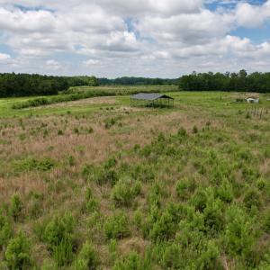 Photo #47 of Off of Powell Road, Green Sea, SC 69.0 acres
