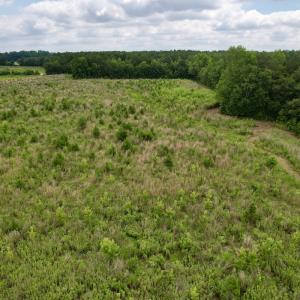Photo #50 of Off of Powell Road, Green Sea, SC 69.0 acres