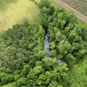 Photo #51 of Off of Powell Road, Green Sea, SC 69.0 acres