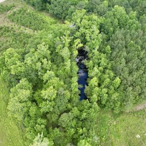 Photo #52 of Off of Powell Road, Green Sea, SC 69.0 acres
