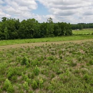 Photo #53 of Off of Powell Road, Green Sea, SC 69.0 acres
