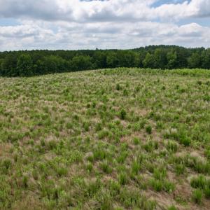 Photo #54 of Off of Powell Road, Green Sea, SC 69.0 acres