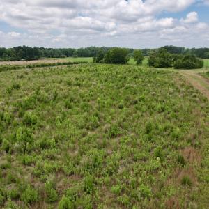 Photo #55 of Off of Powell Road, Green Sea, SC 69.0 acres