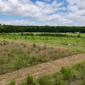 Photo #57 of Off of Powell Road, Green Sea, SC 69.0 acres