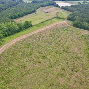 Photo #59 of Off of Powell Road, Green Sea, SC 69.0 acres