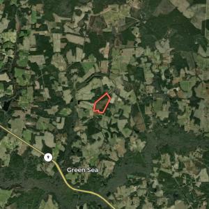 Photo #71 of Off of Powell Road, Green Sea, SC 69.0 acres