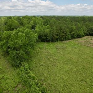 Photo #61 of Off of Powell Road, Green Sea, SC 69.0 acres