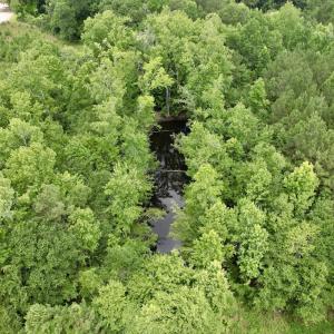Photo #62 of Off of Powell Road, Green Sea, SC 69.0 acres