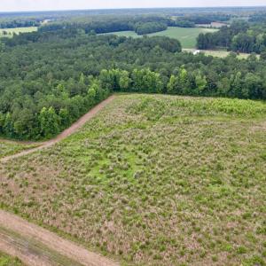 Photo #64 of Off of Powell Road, Green Sea, SC 69.0 acres