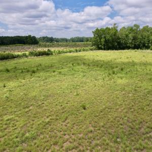 Photo #67 of Off of Powell Road, Green Sea, SC 69.0 acres