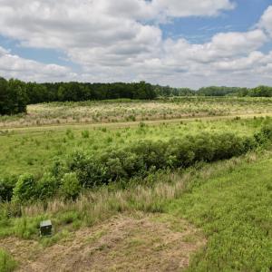 Photo #68 of Off of Powell Road, Green Sea, SC 69.0 acres
