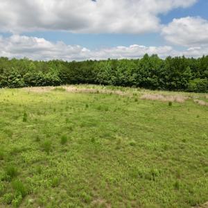 Photo #69 of Off of Powell Road, Green Sea, SC 69.0 acres