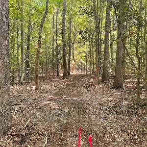 Photo #12 of Off of Hills Dr, Dewitt, VA 27.0 acres