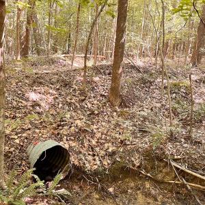 Photo #13 of Off of Hills Dr, Dewitt, VA 27.0 acres