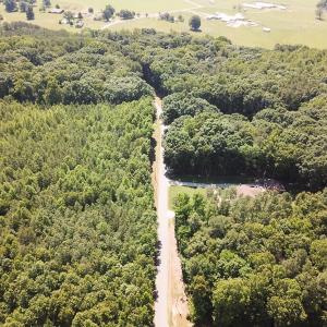 Photo #14 of Off of Hills Dr, Dewitt, VA 27.0 acres