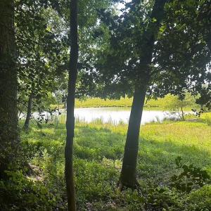Photo #16 of Off of Hills Dr, Dewitt, VA 27.0 acres