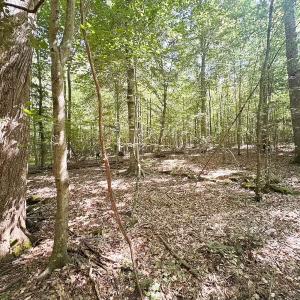 Photo #17 of Off of Hills Dr, Dewitt, VA 27.0 acres