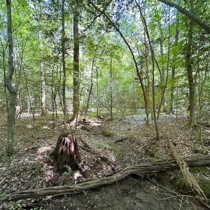 Photo #19 of Off of Hills Dr, Dewitt, VA 27.0 acres