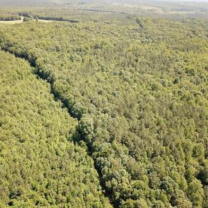 Photo #21 of Off of Hills Dr, Dewitt, VA 27.0 acres