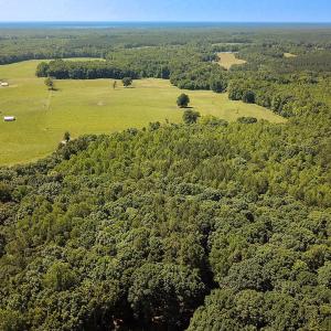 Photo #1 of Off of Hills Dr, Dewitt, VA 27.0 acres