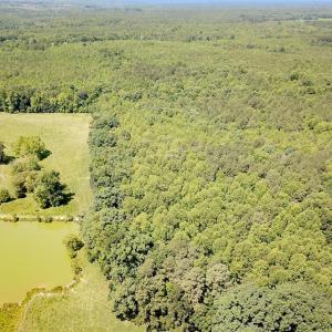 Photo #2 of Off of Hills Dr, Dewitt, VA 27.0 acres