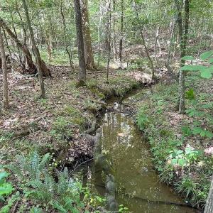 Photo #22 of Off of Hills Dr, Dewitt, VA 27.0 acres