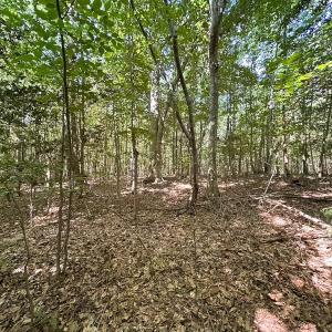 Photo #25 of Off of Hills Dr, Dewitt, VA 27.0 acres